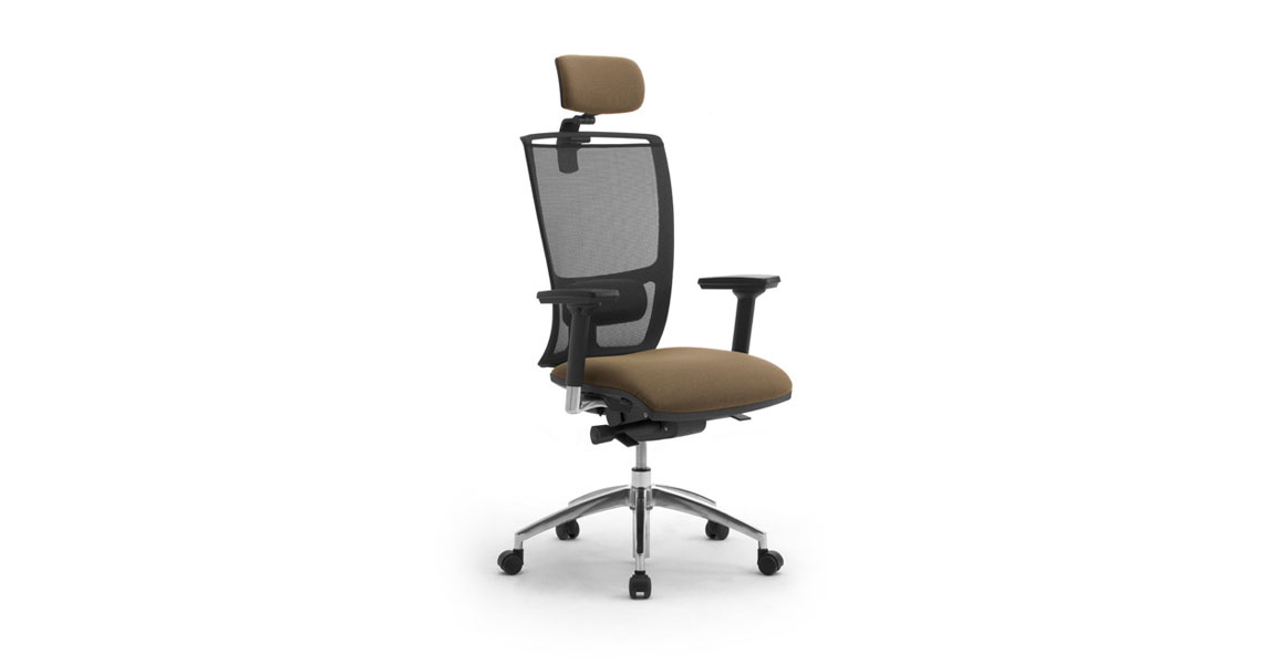 ergonomic-chair-what-it-is-and-how-to-choose-it-img-01
