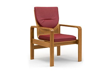 living room sofas with wooden frame meeting